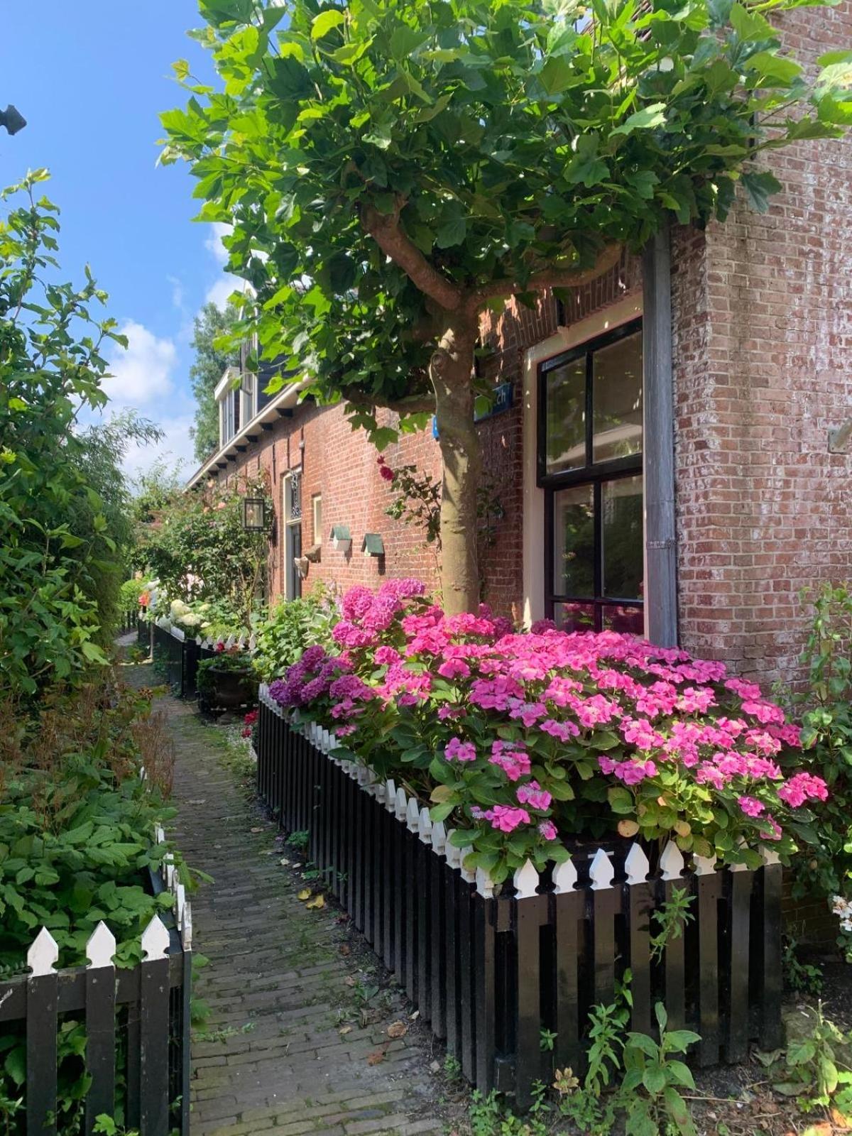 "Het Steechje" In Ie Bij Schiermonnikoog En Ameland Apartment Ee Exterior photo